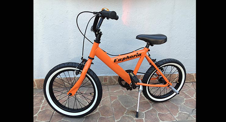 Restauración bicicleta r16