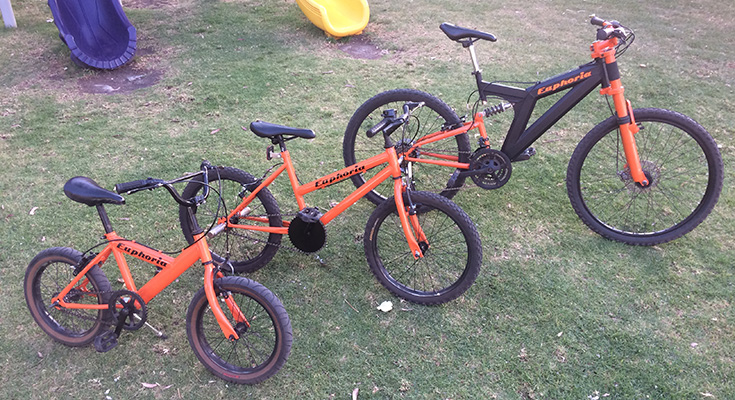 Familia de bicicletas.